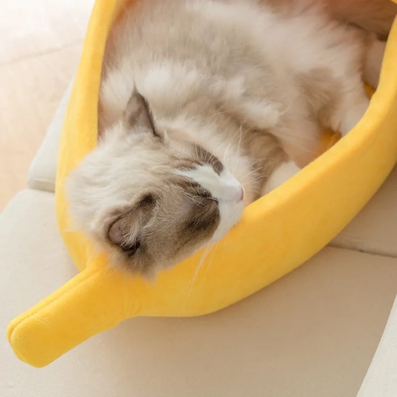 Banana Pet House